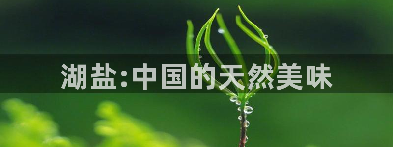 威九国际热舞