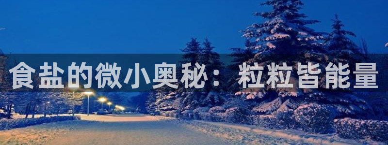 威九国际取款
