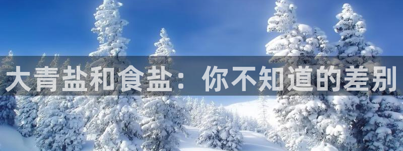 威九国际客服电话号码