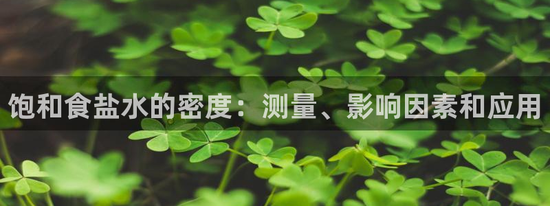 威九国际成长模式怎么样