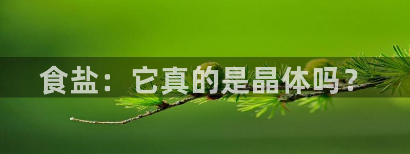 威九国际网站传媒