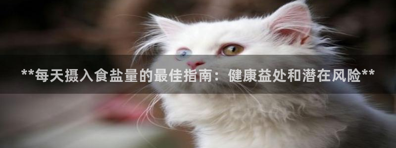威九国际可以退钱吗怎么退款