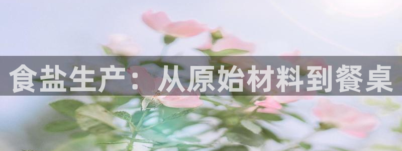 威九国际清砖码