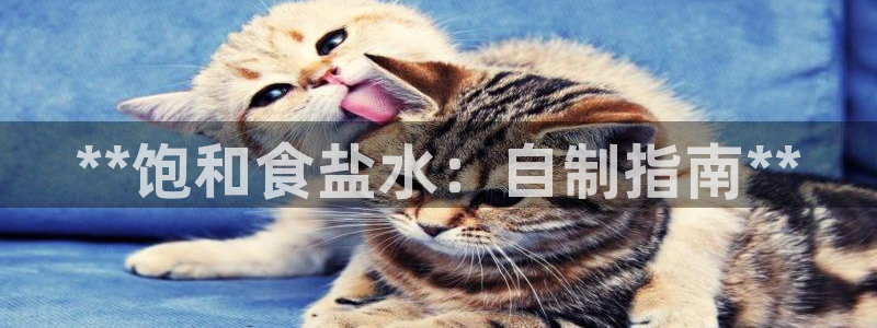 威九国际电子有限公司