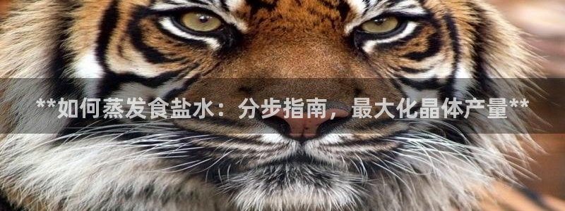 威九国际客服电话号码是多少