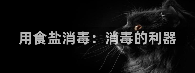 威九国际66m免费版