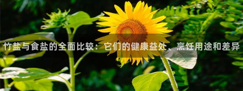 威九国际精彩视频2022年
