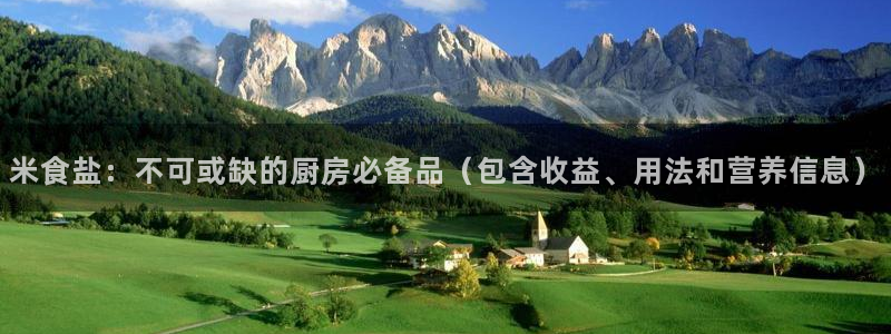 威九国际ppt免费吗
