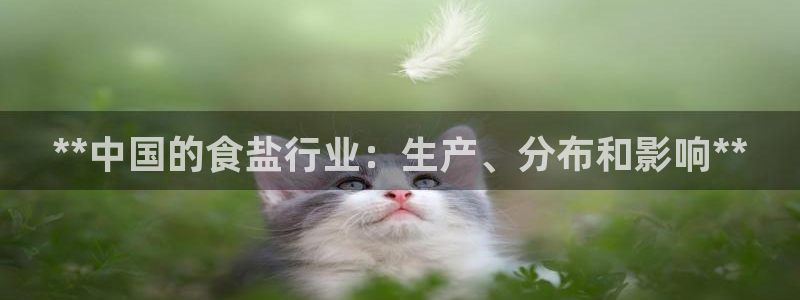 威九国际FF