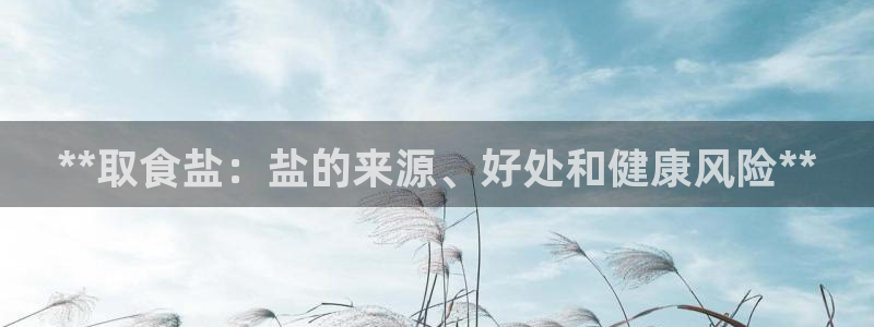 威九国际v8