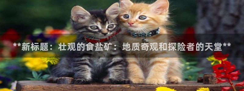 威九国际官网版