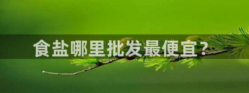 威九国际精免费下载