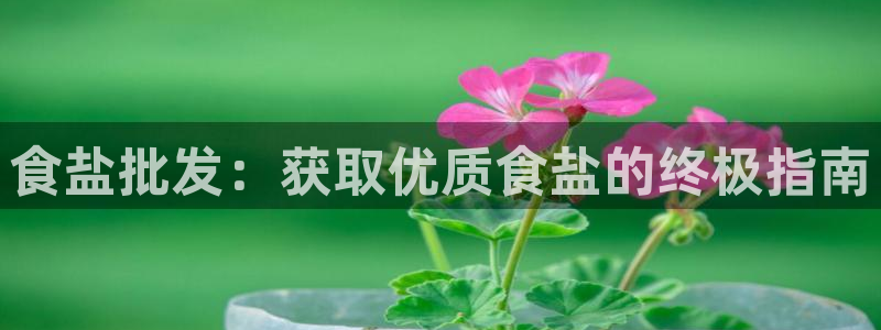 威九国际网站进入客服中心了吗