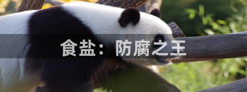 78m.ppt威九国际官网版