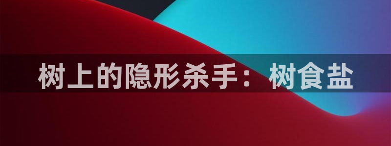 威九国际惠子