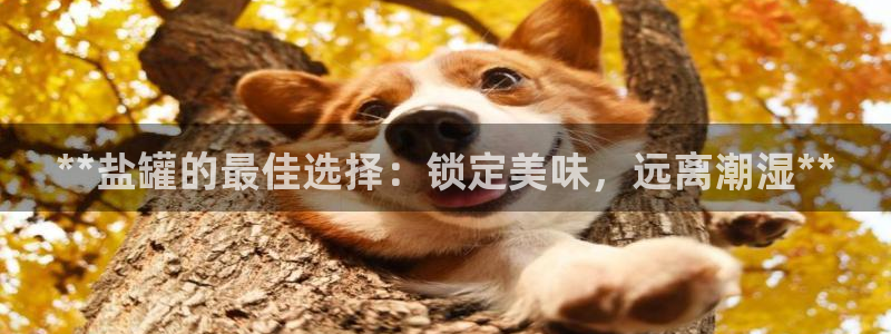 威九国际电视怎么样