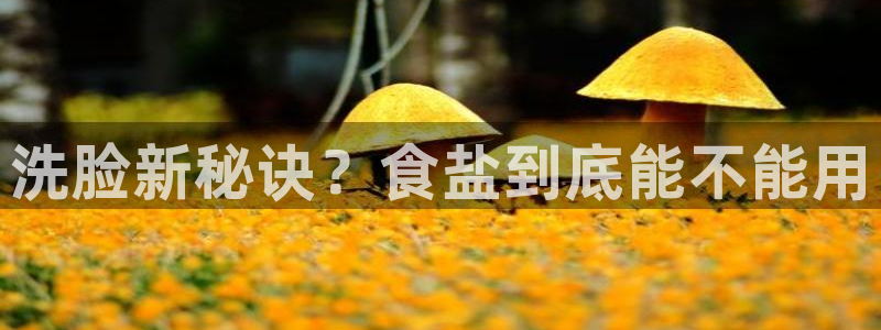 威九国际精忐