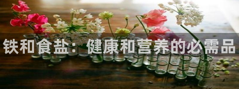 威九国际ppt免费下载网址