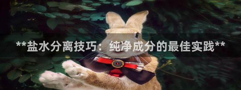 威九国际FF