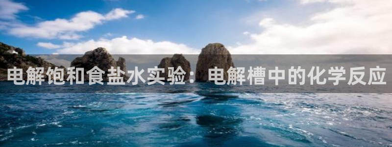 威九国际免费网络站