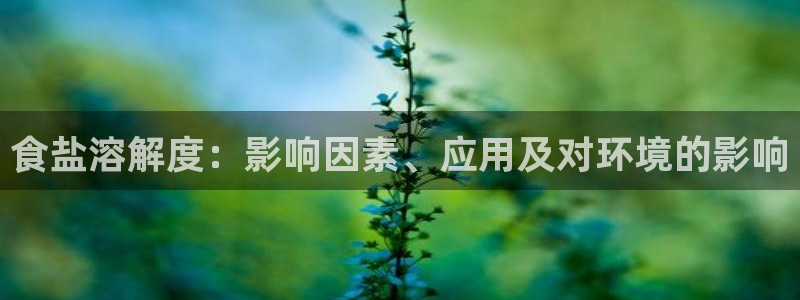威九国际78mob官网版