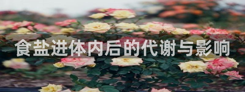 威九国际app网站安全吗