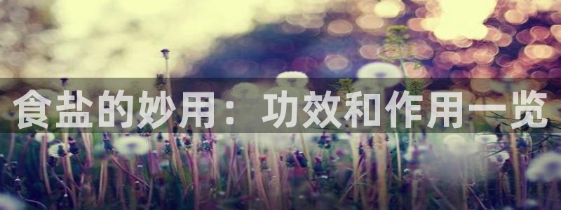 威九国际惠子