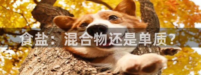 78mapp威九国际官网版