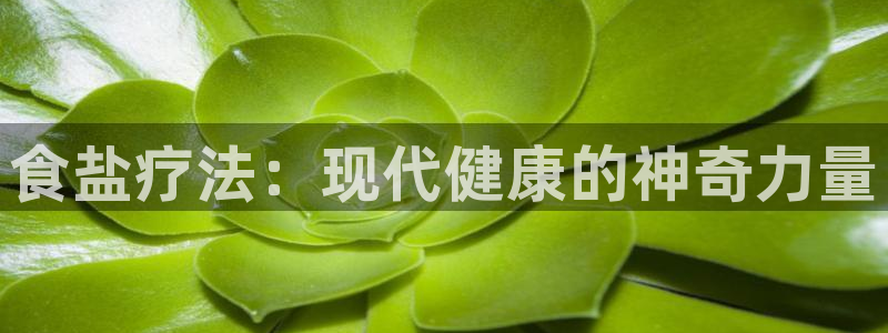 威九国际清砖码头在哪
