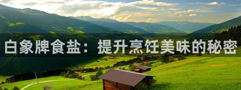 威九国际v96BET