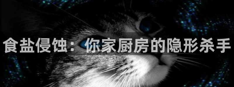威九国际78mob游戏亮点