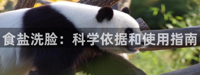 威九国际体育app下载