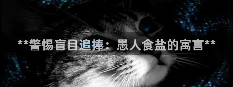 威九国际网站入口官网免费