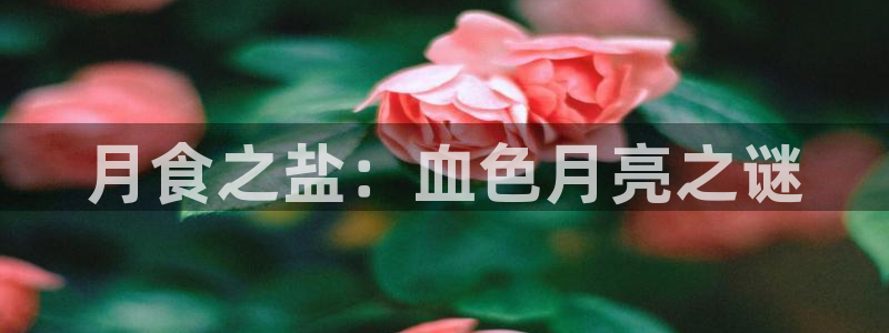 威九国际取款不会被骗吧