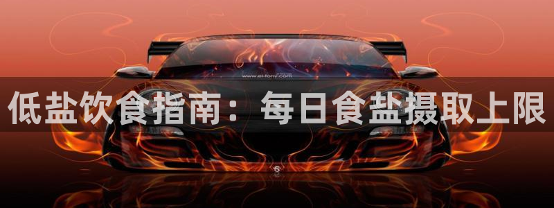 威九国际X8