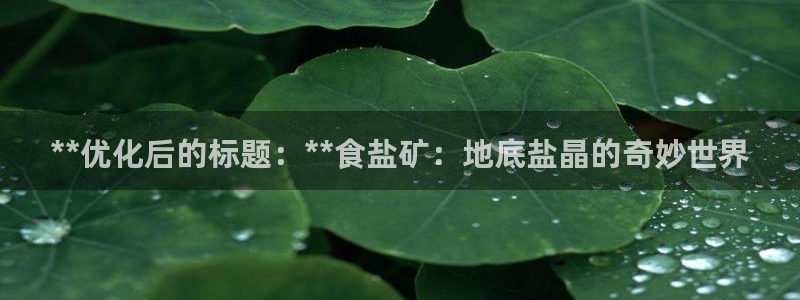 保定威九网络科技有限公司电话