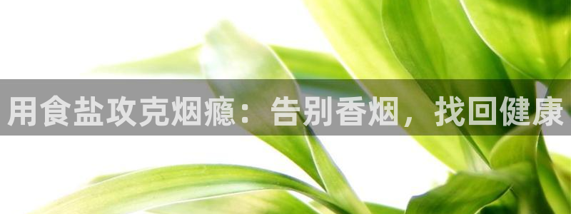 威九国际客服电话是多少