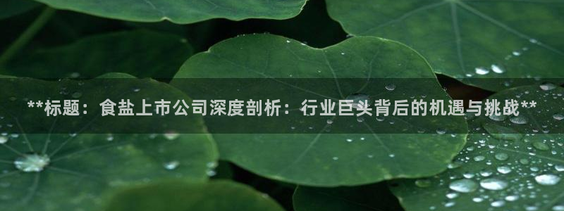 威九国际人民网招聘