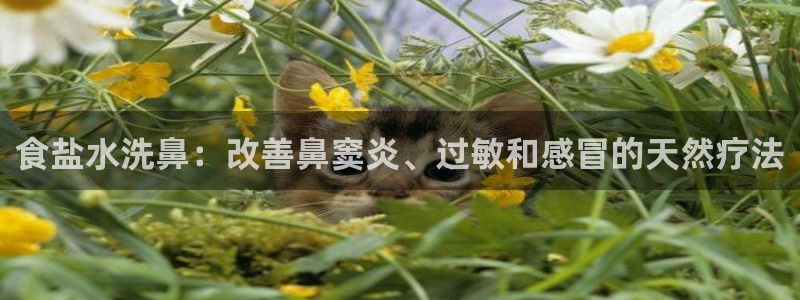 威九国际app无法登陆怎么回事