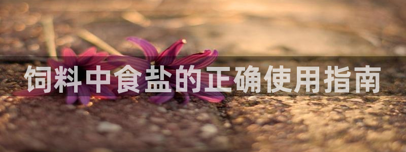 威九国际78m-MBA智库百科
