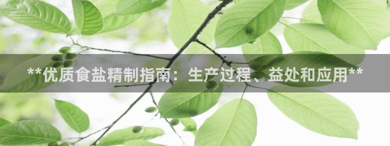 威九国际66m官网版