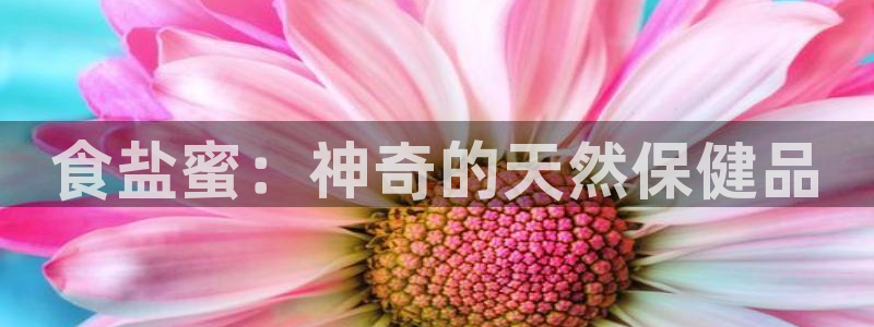 威九国际网站入口官网首页下载