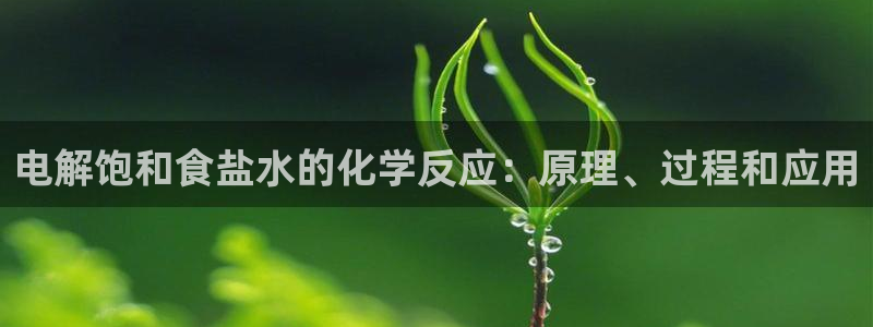 威九国际小说