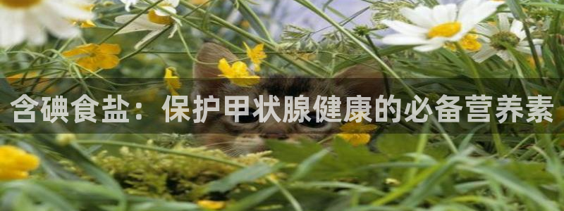 威九国际官网在线进入网站查询网址