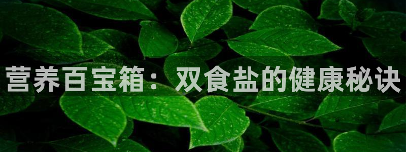 威九国际66视频