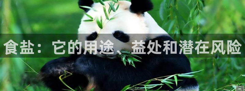 威九国际网站链接