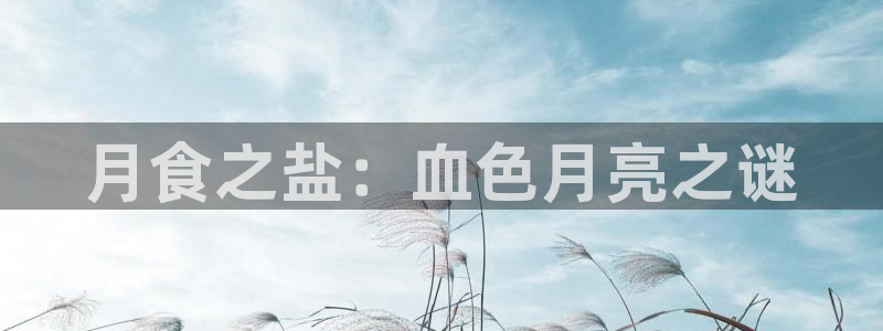 威九国际可以赚到钱