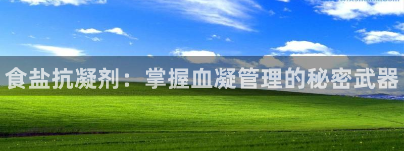 威九国际网站入口官网免费下载