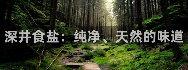 威九国际黑钱