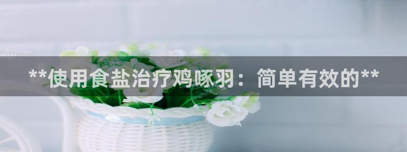 威九国际旗下艺人都有谁